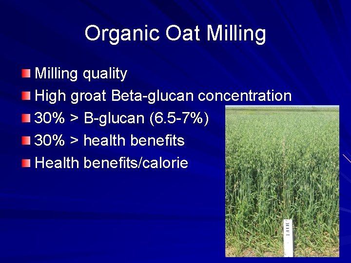 Organic Oat Milling quality High groat Beta-glucan concentration 30% > B-glucan (6. 5 -7%)