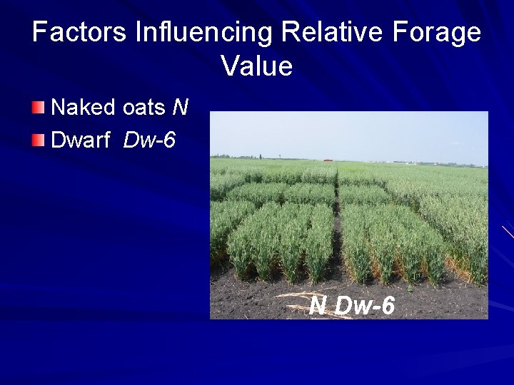 Factors Influencing Relative Forage Value Naked oats N Dwarf Dw-6 N Dw-6 