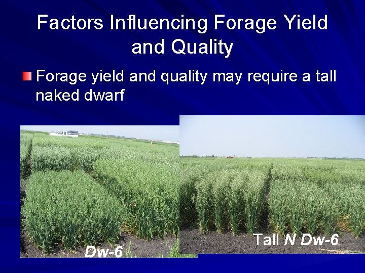 Factors Influencing Forage Yield and Quality Forage yield and quality may require a tall
