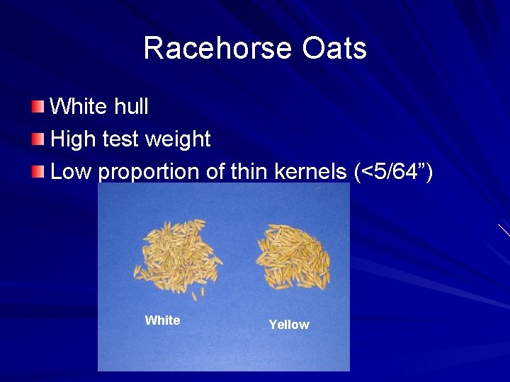 Racehorse Oats White hull High test weight Low proportion of thin kernels (<5/64”) White