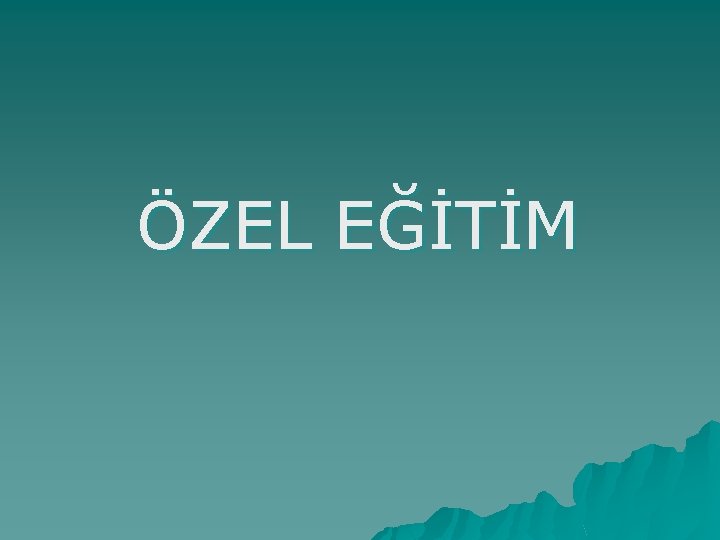 ÖZEL EĞİTİM 