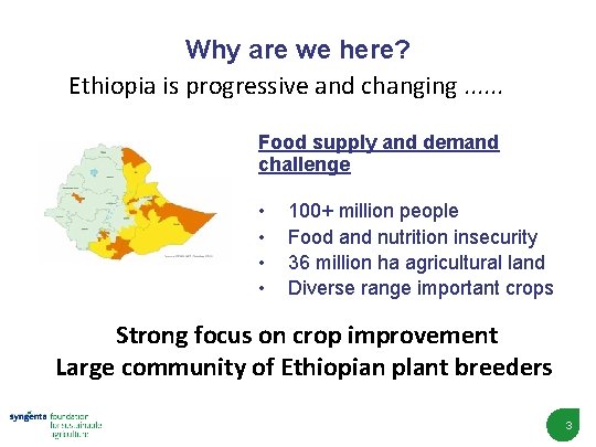 Why are we here? Ethiopia is progressive and changing. . . Food supply and