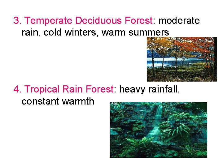 3. Temperate Deciduous Forest: moderate rain, cold winters, warm summers 4. Tropical Rain Forest: