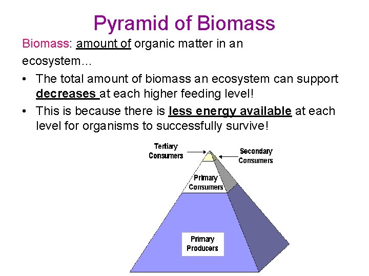 Pyramid of Biomass: amount of organic matter in an ecosystem… • The total amount