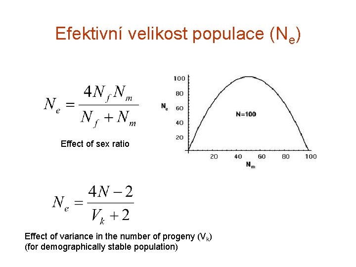 Efektivní velikost populace (Ne) Effect of sex ratio Effect of variance in the number