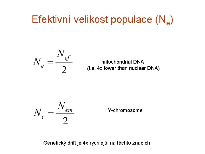 Efektivní velikost populace (Ne) mitochondrial DNA (i. e. 4 x lower than nuclear DNA)