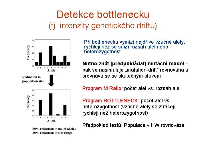 Detekce bottlenecku (tj. intenzity genetického driftu) Při bottlenecku vymizí nejdříve vzácné alely, rychleji než