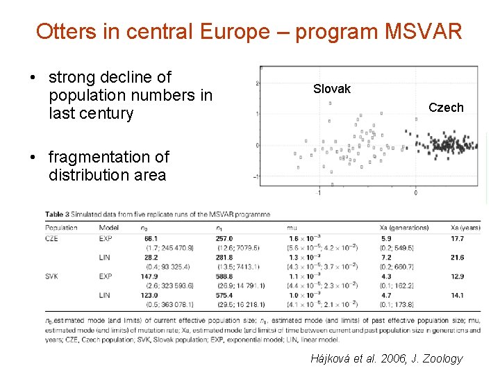 Otters in central Europe – program MSVAR • strong decline of population numbers in