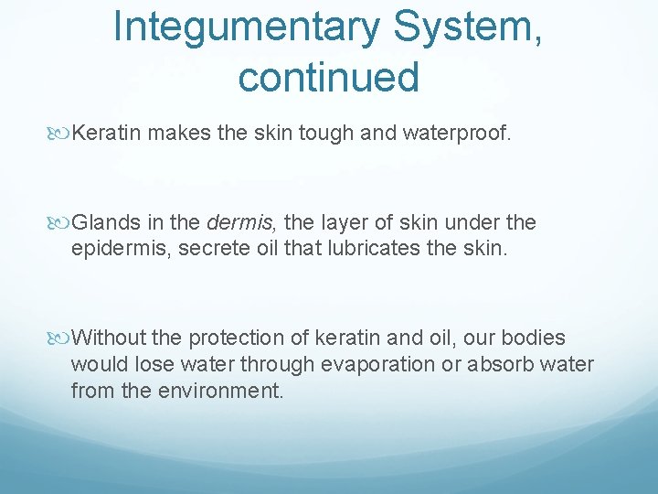 Integumentary System, continued Keratin makes the skin tough and waterproof. Glands in the dermis,