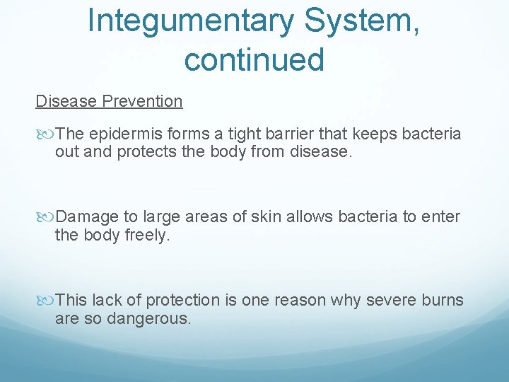 Integumentary System, continued Disease Prevention The epidermis forms a tight barrier that keeps bacteria