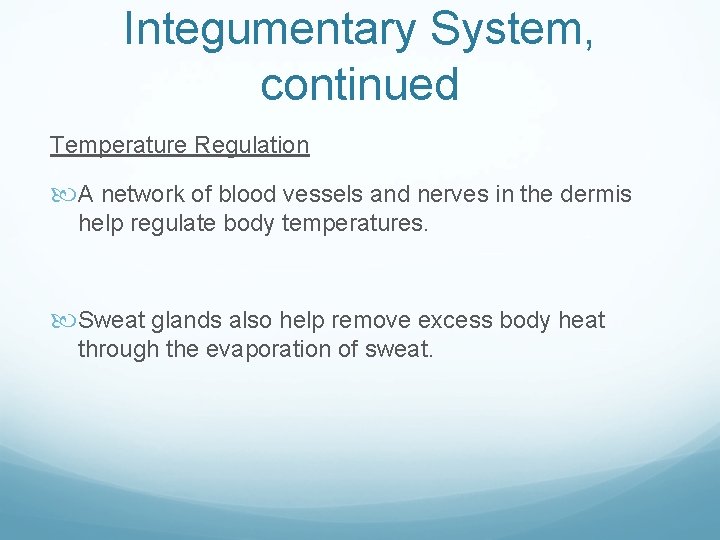 Integumentary System, continued Temperature Regulation A network of blood vessels and nerves in the