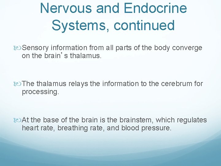 Nervous and Endocrine Systems, continued Sensory information from all parts of the body converge