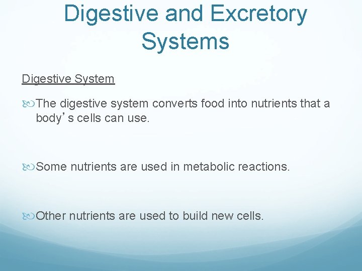 Digestive and Excretory Systems Digestive System The digestive system converts food into nutrients that