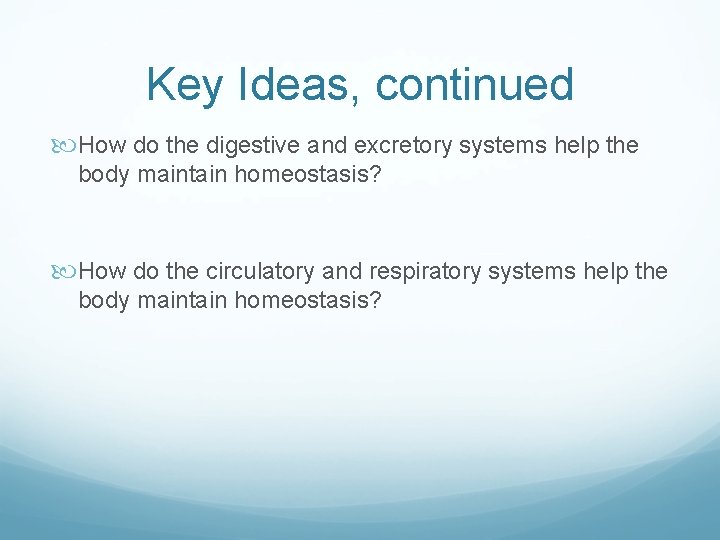 Key Ideas, continued How do the digestive and excretory systems help the body maintain