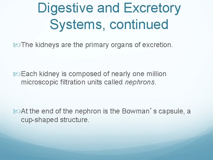 Digestive and Excretory Systems, continued The kidneys are the primary organs of excretion. Each