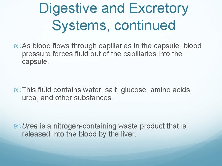 Digestive and Excretory Systems, continued As blood flows through capillaries in the capsule, blood