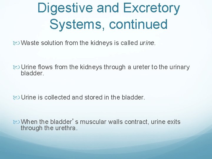 Digestive and Excretory Systems, continued Waste solution from the kidneys is called urine. Urine