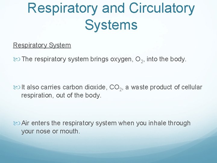Respiratory and Circulatory Systems Respiratory System The respiratory system brings oxygen, O 2, into