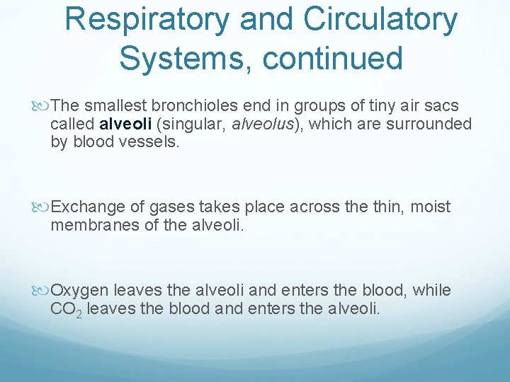 Respiratory and Circulatory Systems, continued The smallest bronchioles end in groups of tiny air