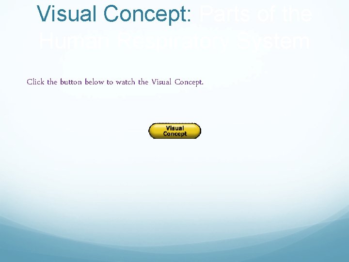 Visual Concept: Parts of the Human Respiratory System Click the button below to watch