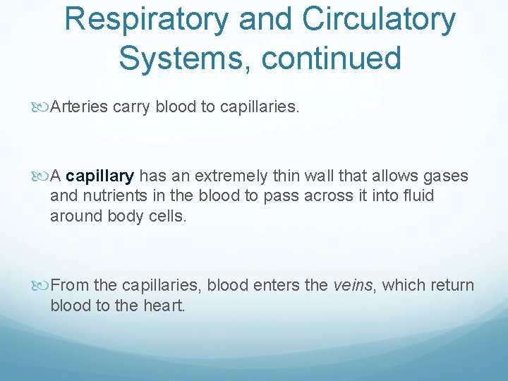 Respiratory and Circulatory Systems, continued Arteries carry blood to capillaries. A capillary has an
