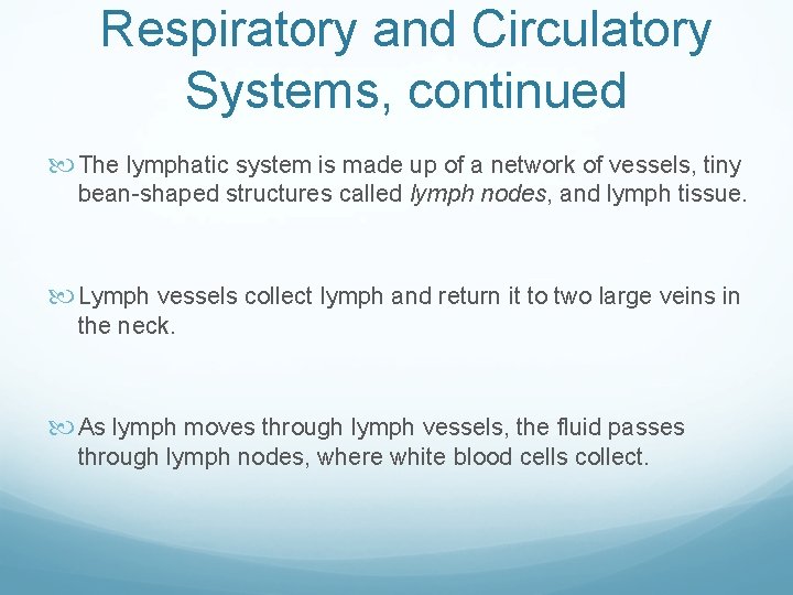 Respiratory and Circulatory Systems, continued The lymphatic system is made up of a network