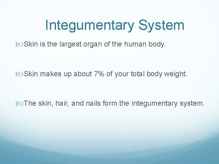 Integumentary System Skin is the largest organ of the human body. Skin makes up