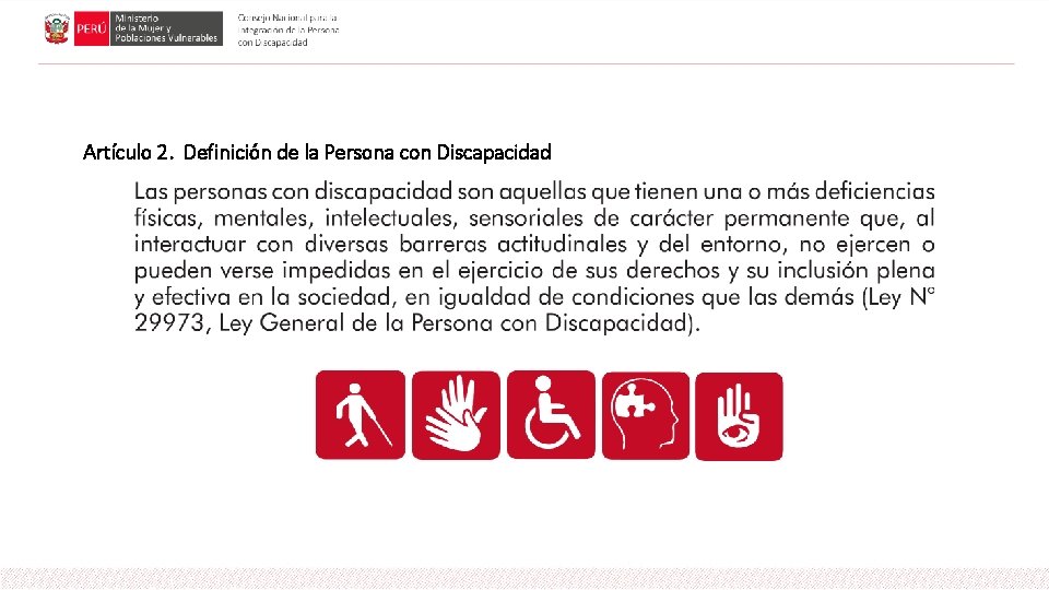Artículo 2. Definición de la Persona con Discapacidad 