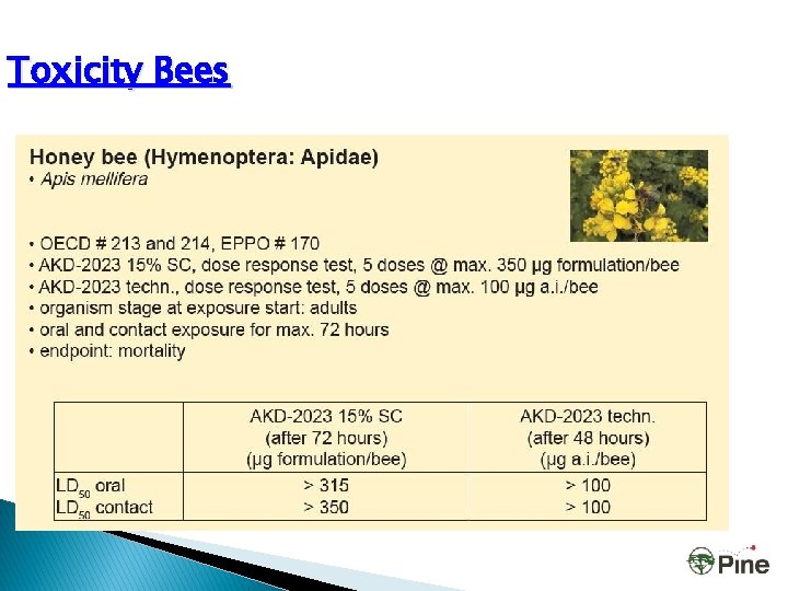 Toxicity Bees 