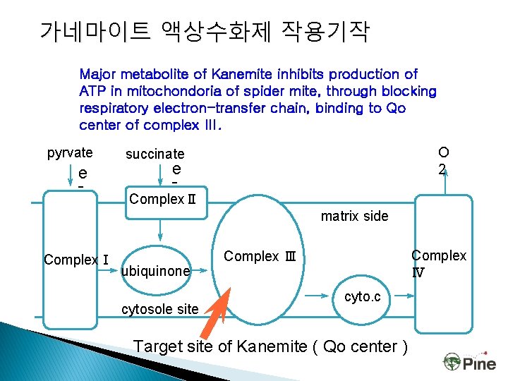 가네마이트 액상수화제 작용기작 Major metabolite of Kanemite inhibits production of ATP in mitochondoria of