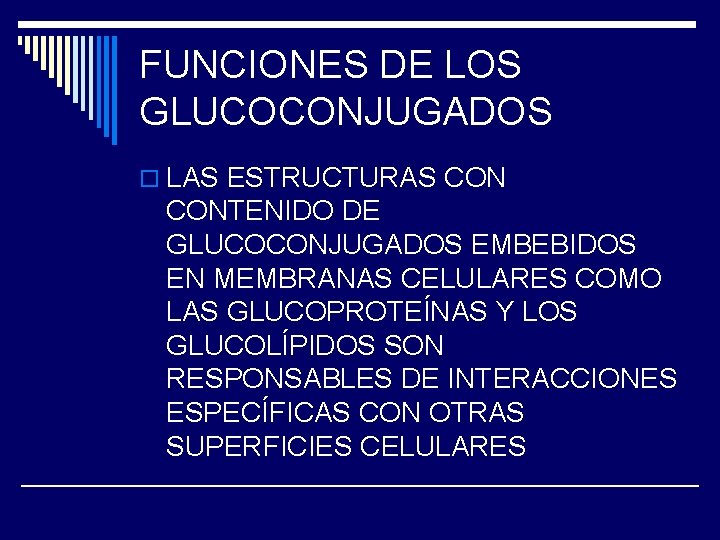 FUNCIONES DE LOS GLUCOCONJUGADOS o LAS ESTRUCTURAS CONTENIDO DE GLUCOCONJUGADOS EMBEBIDOS EN MEMBRANAS CELULARES