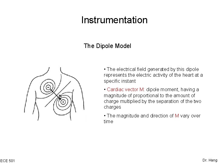 Instrumentation The Dipole Model • The electrical field generated by this dipole represents the