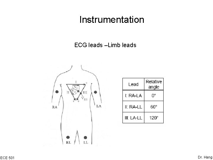 Instrumentation ECG leads –Limb leads ECE 501 Dr. Hang 