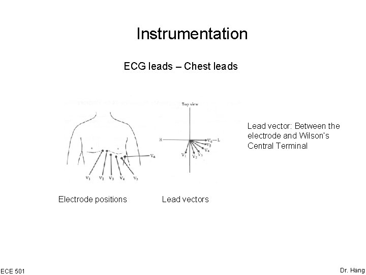 Instrumentation ECG leads – Chest leads Lead vector: Between the electrode and Wilson’s Central