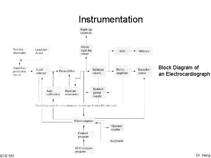 Instrumentation Block Diagram of an Electrocardiograph ECE 501 Dr. Hang 