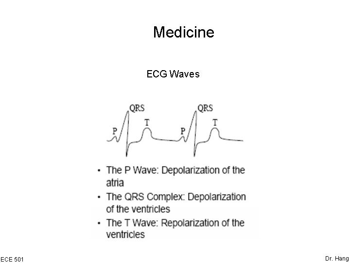 Medicine ECG Waves ECE 501 Dr. Hang 
