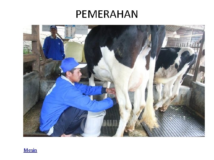 PEMERAHAN Mesin 