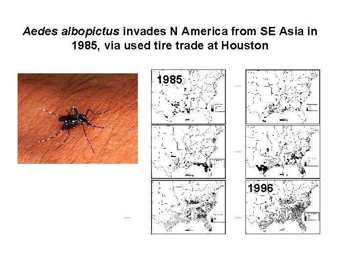 Aedes albopictus invades N America from SE Asia in 1985, via used tire trade