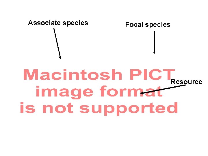 Associate species Focal species Resource 