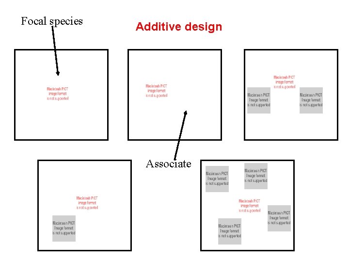 Focal species Additive design Associate 