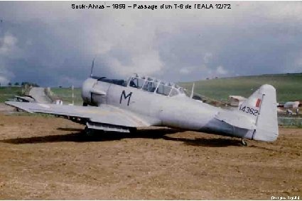 Souk-Ahras – 1959 – Passage d’un T-6 de l’EALA 12/72 (Georges Reguin) 