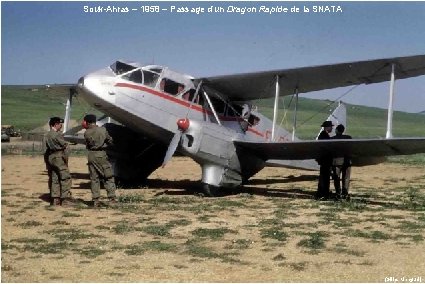 Souk-Ahras – 1958 – Passage d’un Dragon Rapide de la SNATA (Gilles Mengual) 