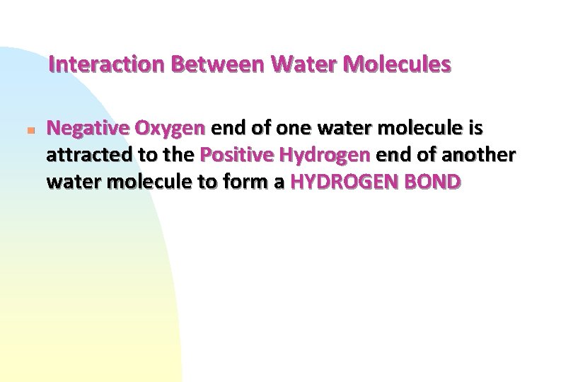 Interaction Between Water Molecules n Negative Oxygen end of one water molecule is attracted