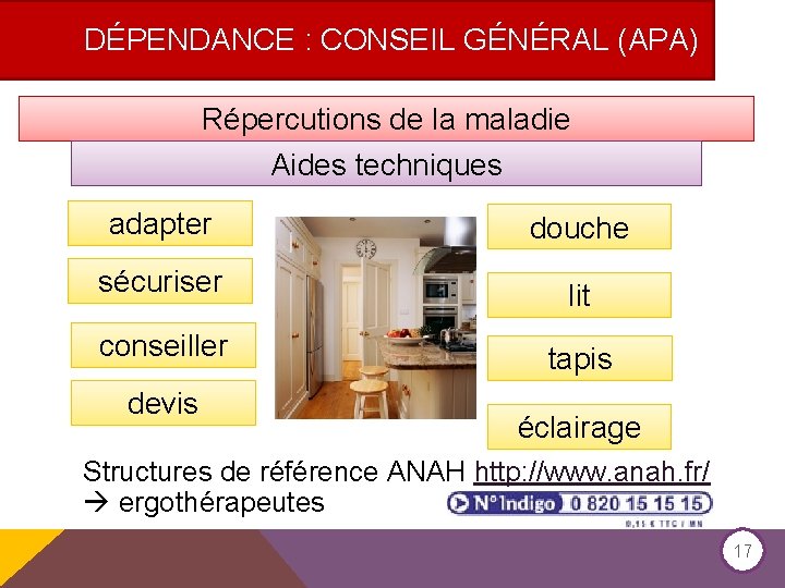 DÉPENDANCE : CONSEIL GÉNÉRAL (APA) Répercutions de la maladie Aides techniques adapter douche sécuriser