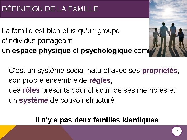 DÉFINITION DE LA FAMILLE La famille est bien plus qu'un groupe d'individus partageant un