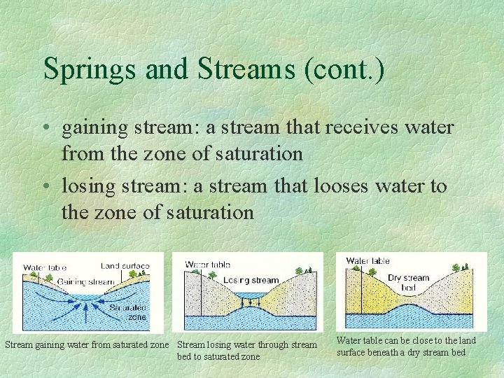 Springs and Streams (cont. ) • gaining stream: a stream that receives water from