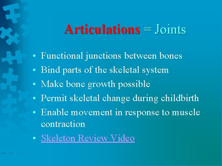 Articulations = Joints • • • Functional junctions between bones Bind parts of the