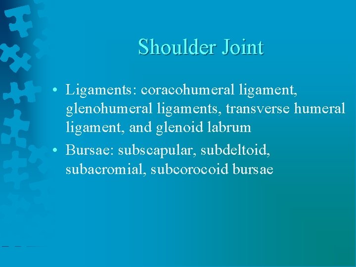 Shoulder Joint • Ligaments: coracohumeral ligament, glenohumeral ligaments, transverse humeral ligament, and glenoid labrum