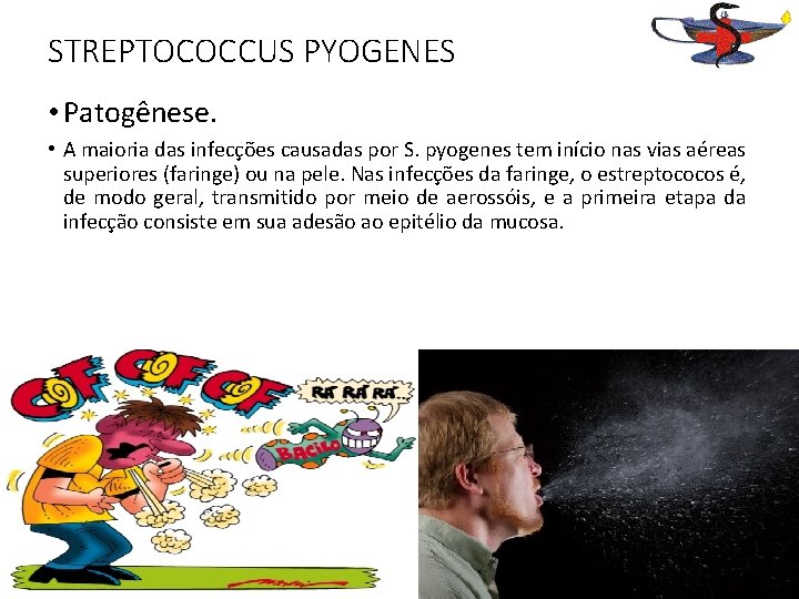 STREPTOCOCCUS PYOGENES • Patogênese. • A maioria das infecções causadas por S. pyogenes tem