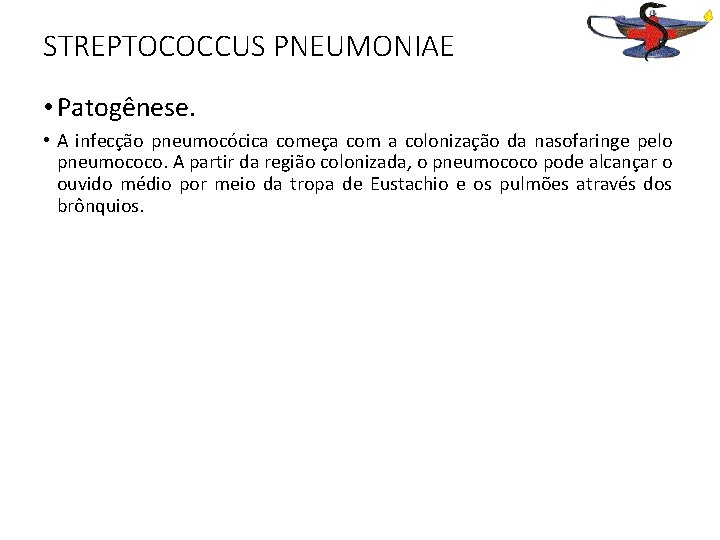 STREPTOCOCCUS PNEUMONIAE • Patogênese. • A infecção pneumocócica começa com a colonização da nasofaringe